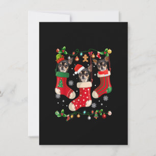 Three Chihuahua In Sock Christmas Santa X-mas Dog Invitation