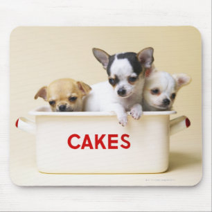 Three chihuahua puppies in cake tin mouse pad
