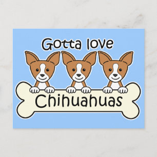 Three Chihuahuas Postcard