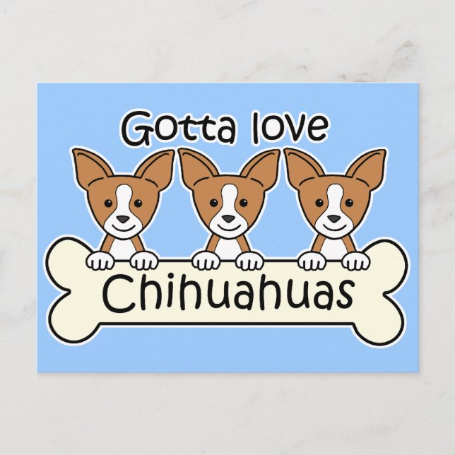 Three Chihuahuas Postcard (Front)