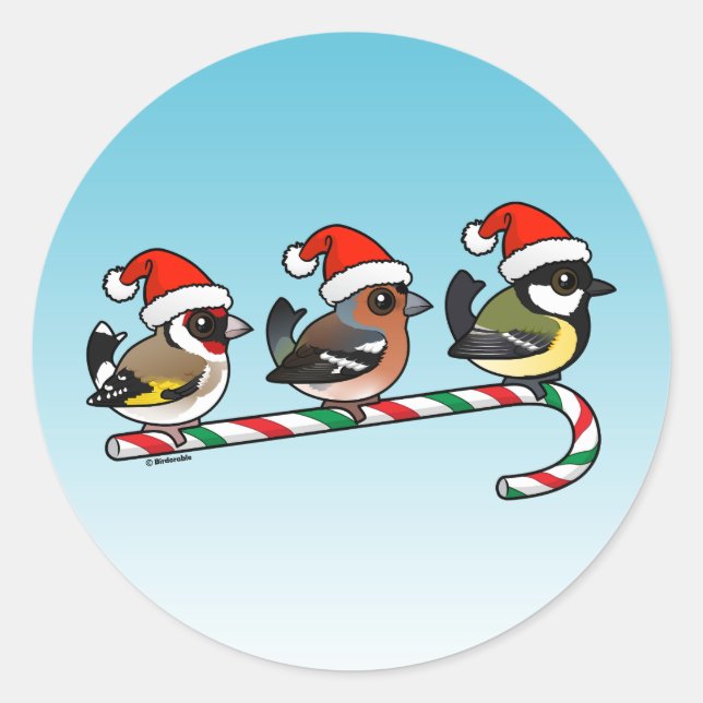 Three Christmas Finches (EU) Classic Round Sticker (Front)