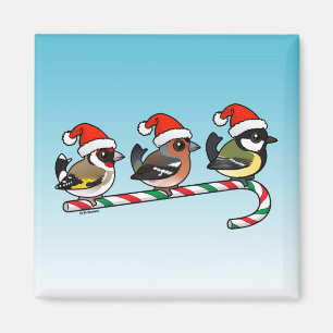 Three Christmas Finches (EU) Magnet