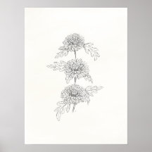 Three Chrysanthemums Print
