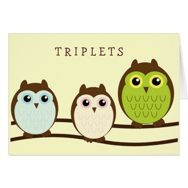 Three Colourful Owls (Front Horizontal)