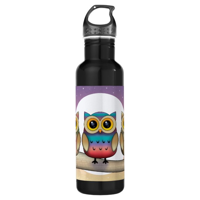 Three Colourful Owls 710 Ml Water Bottle (Front)