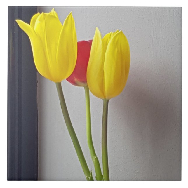 Three colourful tulips ceramic tile (Front)