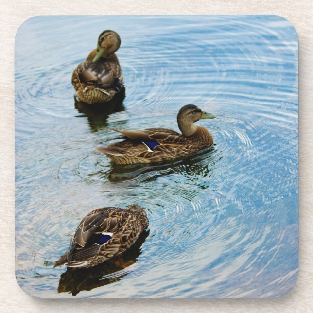 Three Cork Coaster (Front)