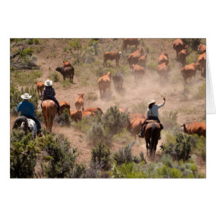 Three cowboys and cowgirls driving cattle