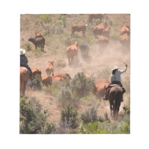 Three cowboys and cowgirls driving cattle notepad