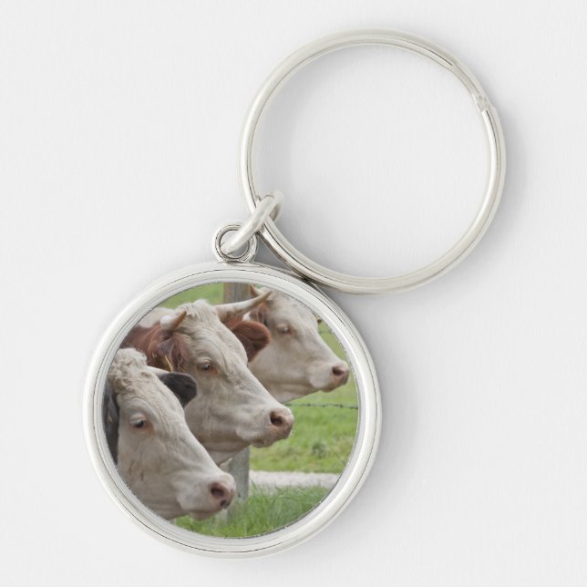 Three Cows in a Row Keychain (Front)
