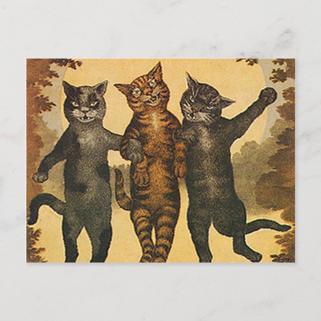 Three crazy mean cats vintage illustration postcard (Front)