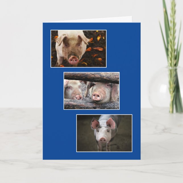 Three Custom Pig Photo Birthday Card (Front)