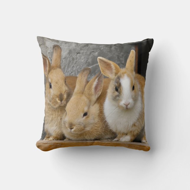 Three Cute Baby Bunny Rabbits Cushion (Front)