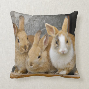 Three Cute Baby Bunny Rabbits Cushion