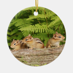 Three Cute Baby Chipmunks Ceramic Tree Decoration
