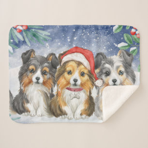 Three Cute Christmas Shelties in the Snow Sherpa Blanket