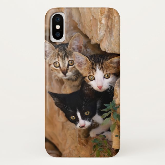 Three Cute Curious Cat Kittens Faces Funny Photo - Case-Mate iPhone Case (Back)