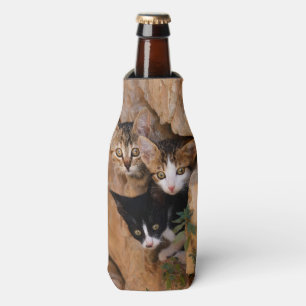 Three cute curious kittens bottle cooler
