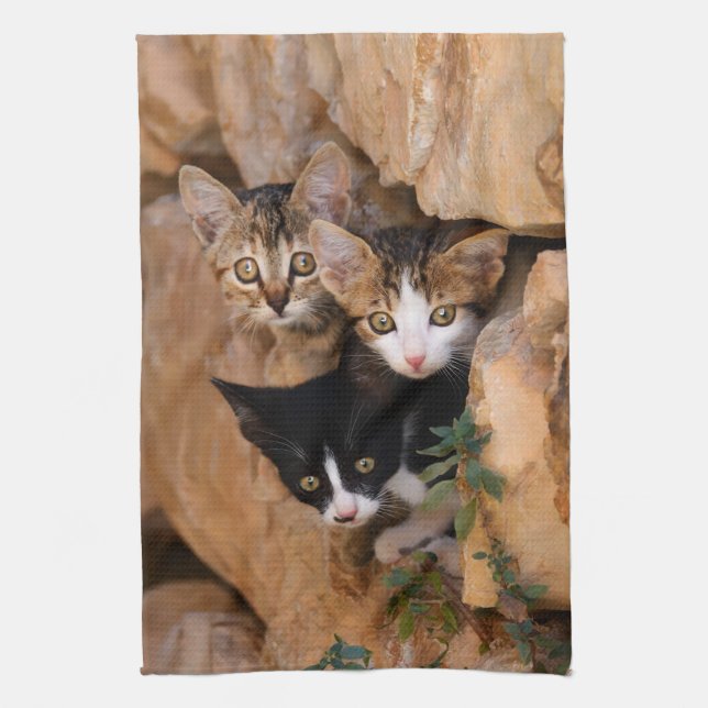 Three cute curious kittens tea towel (Vertical)