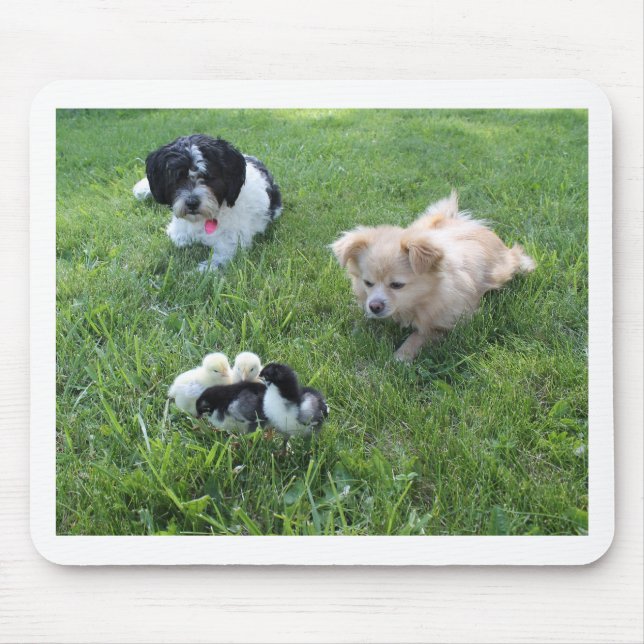 Three cute dogs in grass mouse pad (Front)