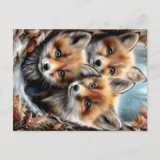 Three Cute Fox Cubs in Forest Postcard