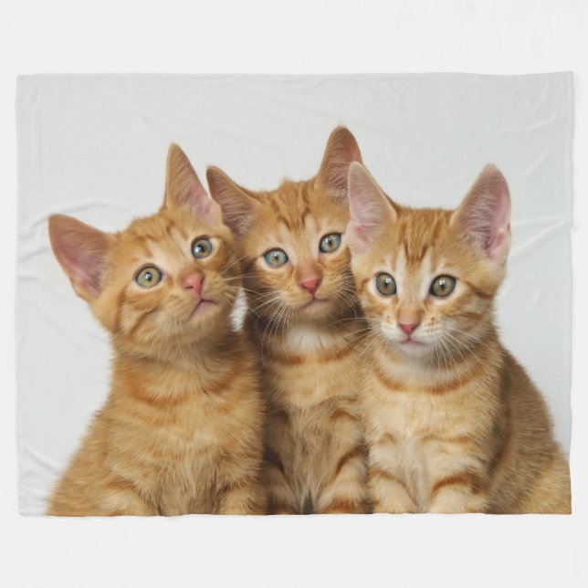 Three cute ginger kittens portraits side by side - fleece blanket (Front (Horizontal))