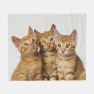 Three cute ginger kittens side by side, soft fleece blanket