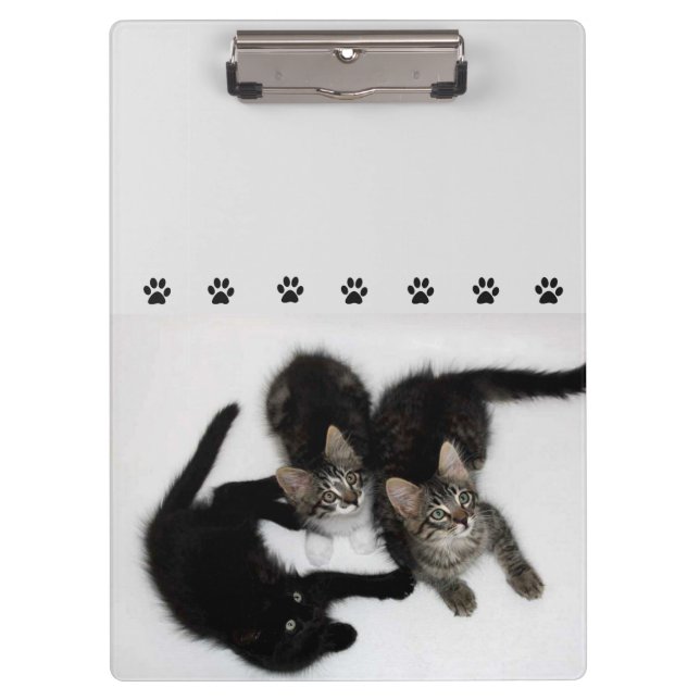 Three Cute Kittens Clipboard (Front)