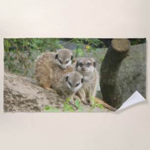 Three Cute Meerkat Beach Towel