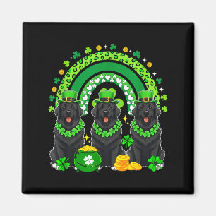 Three Cute Newfoundlands St Patricks Day Shamrocks Magnet