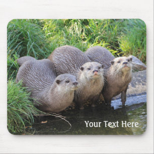 Three Cute Otters Wildlife Photography Mouse Pad