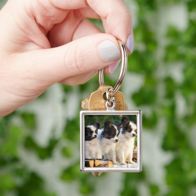 Three Cute Papillon Puppies on a Garden Bench  Key Ring (Hand)