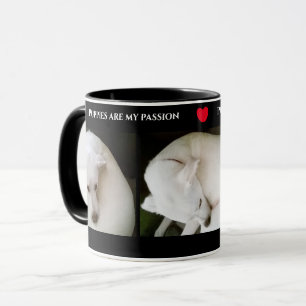 Three Cute Photos of a Beautiful White Dog Black Mug