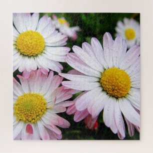 Three cute, pink daisies jigsaw puzzle