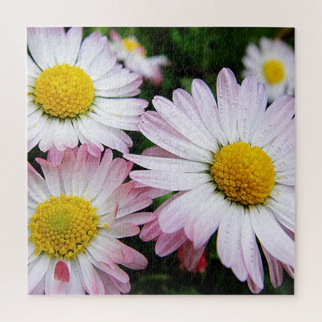 Three cute, pink daisies jigsaw puzzle (Vertical)