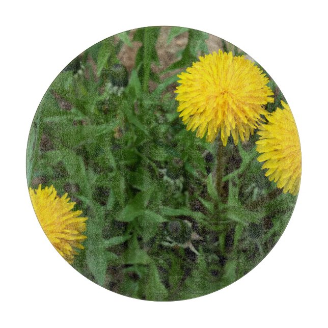 three dandelions cutting board (Front)