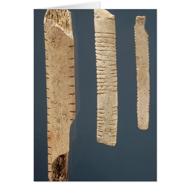 Three decorated bones (Front)