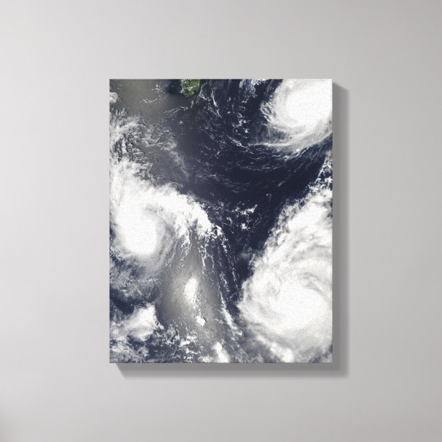 Three different typhoons canvas print (Front)