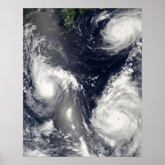 Three different typhoons poster (Front)