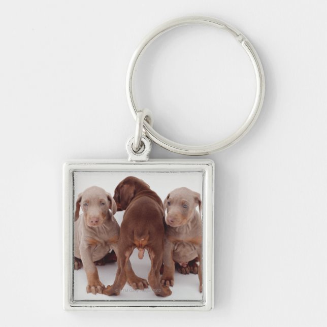Three Doberman pinscher puppies Key Ring (Front)