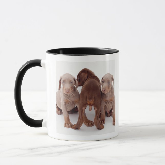 Three Doberman pinscher puppies Mug (Left)