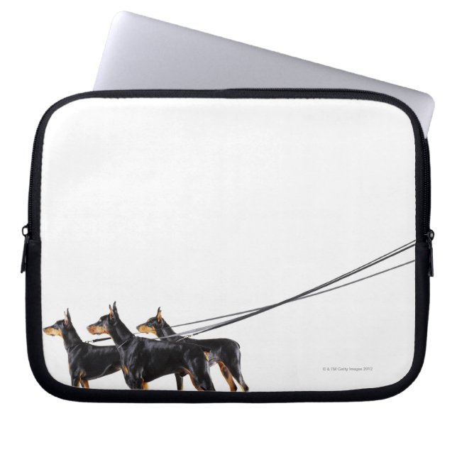 Three Dobermans on leash Laptop Sleeve (Front)