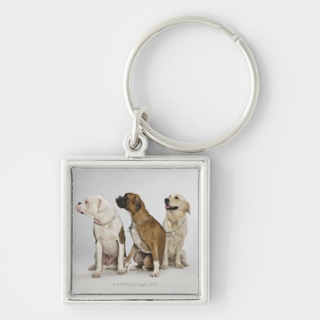 three dogs all looking to the right key ring (Front)