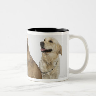 three dogs all looking to the right Two-Tone coffee mug
