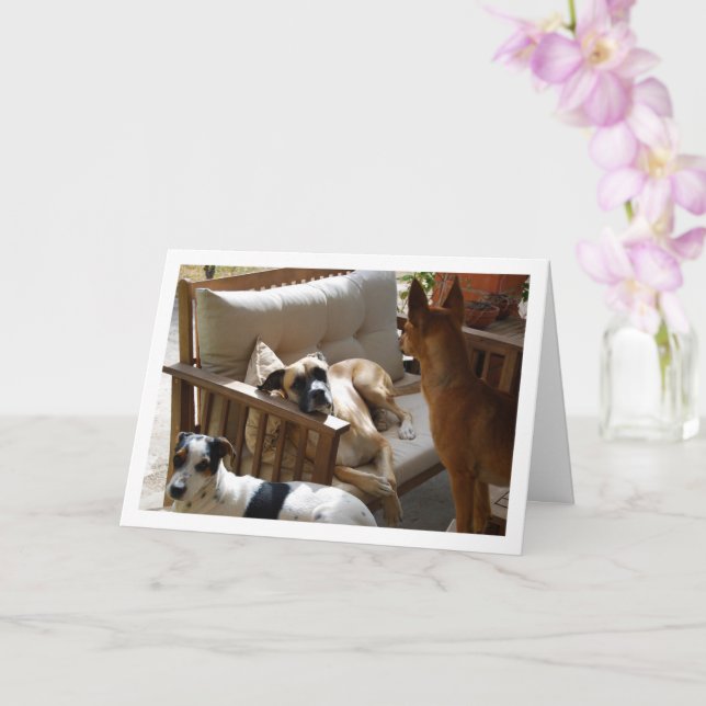 Three Dogs Chilling Portrait Card (Orchid)