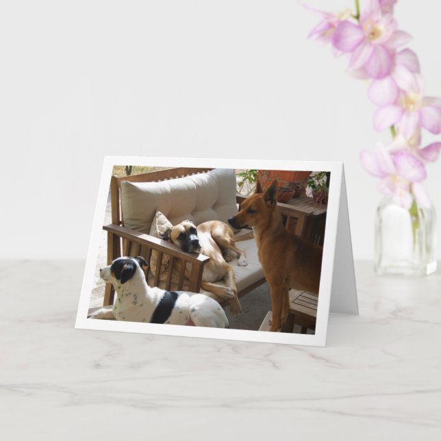 Three Dogs Chilling Portrait Card (Orchid)