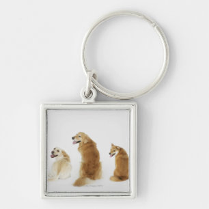 Three dogs looking at camera key ring