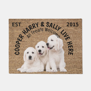 Three Dogs Personalised Dog Lover Doormat