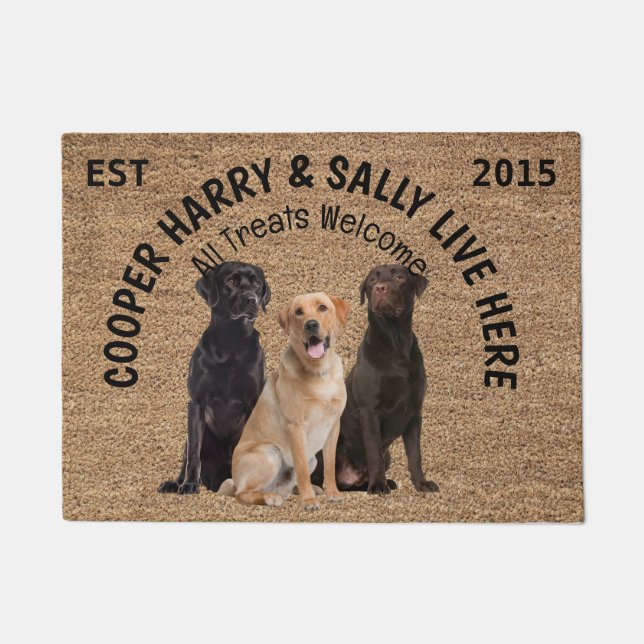 Three Dogs Personalised Dog Lover Doormat (Front)