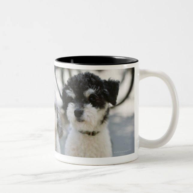 Three dogs Two-Tone coffee mug (Right)